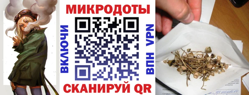 Псилоцибиновые грибы мицелий  Кедровый 