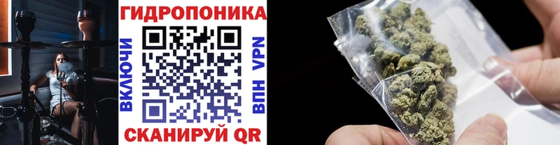 Шишки марихуана тримм Кедровый